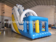 Winnie water slides for sale