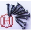 Drywall Screw C1022