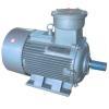 Induction motor