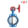 ZSXF-Z Signal Gate Valve