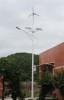50w LED Solar And Wind Hybrid Street Light