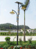 15w 5m LED Solar Street Lamps