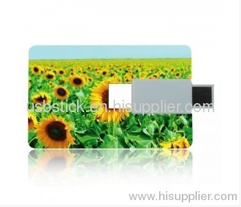 usb flash drive,usb credit cards,usb business cards 1gb,512mb,128mb