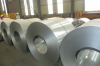 gi steel coil, steel sheet ,zinc coated 60g/m^2,SGCC china supplier
