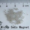 Micro SmCo magnet