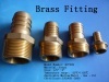 Brass pipe fitting