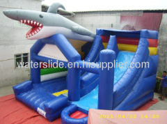 Shark bouncy slide