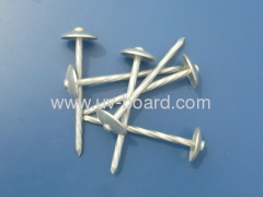 Umbrella Head Roofing Nail