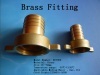 Brass pipe fitting