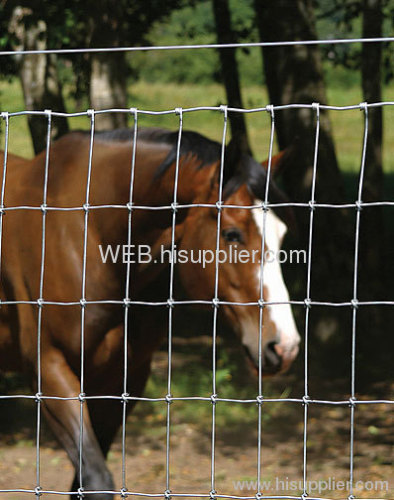 horse fence