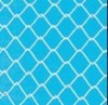 Galvanized Chain Link Fencing