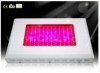 144X3W LED Grow Lights with high quality of 2011
