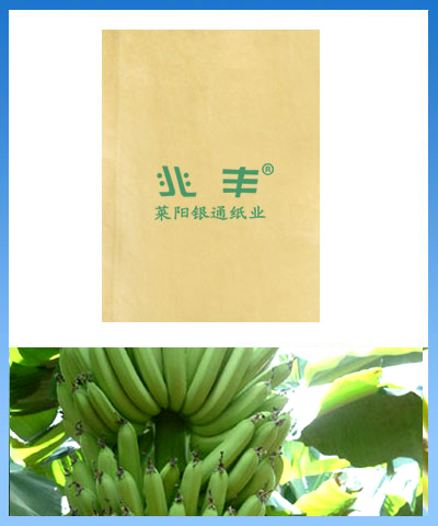 banana bunch growing bag