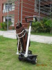 two-wheel self-balancing eletroscooter Golf Robin-M1 as Segway