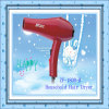 Household Hair Dryer