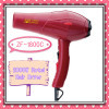 Household Hair Dryer