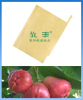 wax apple ptotection bag