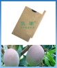 mango protection bag