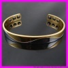 fallon 18k gold plated bangle 2710038 IGP