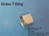 Brass hex coupling