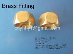 Brass hex pipe fitting