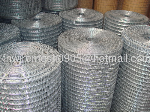 galvanzied welded wire mesh fenghua factory