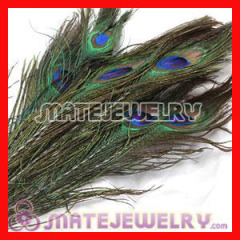 Green Natural Peacock Feather Hair Extension Wholesale