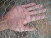 Aviary Netting