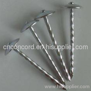 Galvanized umbrella roofing nail