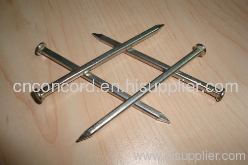 Galvanized square boat nail