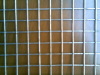 Welded Wire Mesh