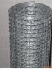 Welded Wire Mesh