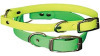 FUll color dog collars