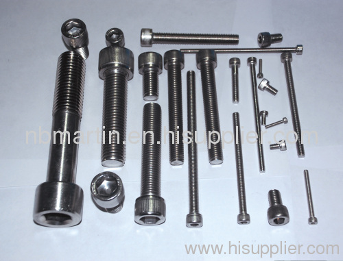 SF010 stainless steel fastener