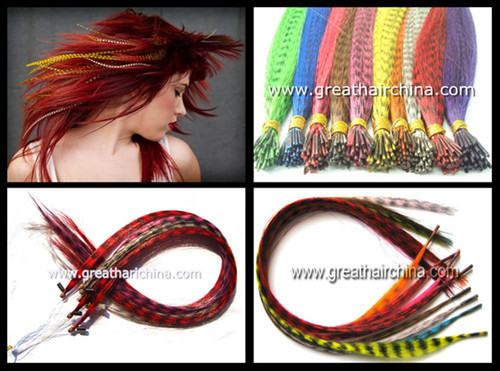 Popular feather hair extension