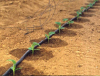 Drip irrigation pipes