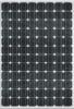 Mono Solar Panel/Module 230W-240W-250W