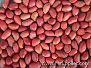 red skin peanut