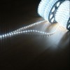 36bulbs led rope light