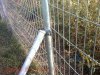 Welded Wire Mesh Fence