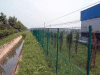 Welded Wire Mesh Fence