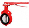 API609 Butterfly Valve