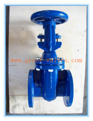 601-F (BS) Cast Iron Gate Valve (RS)