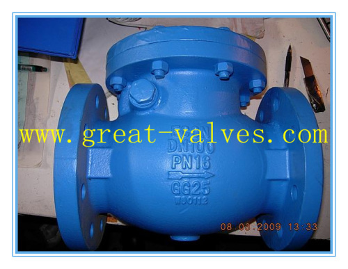 603-F (BS) Cast Iron Check Valve