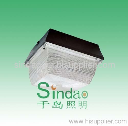 induction lamp--ceiling light