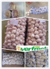 china garlic market