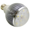 9W LED Bulb