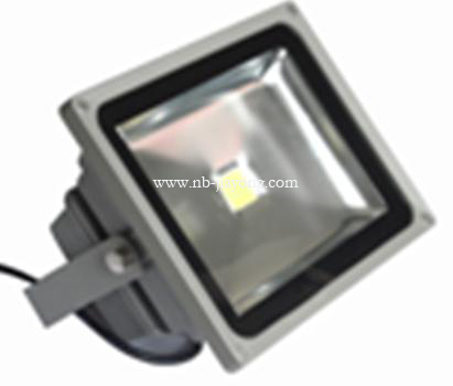 LED Outdoor Floodlight