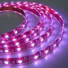 LED RGB Strip