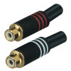 Audio Connector